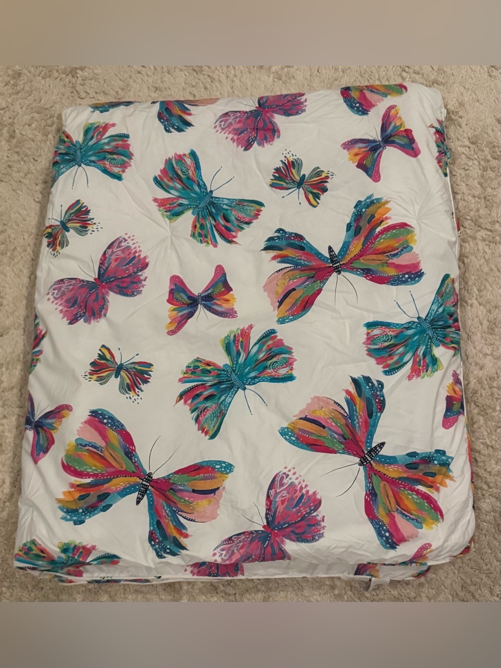 EttaVee for Pottery Barn Kids Watercolor Butterfly Twin Comforter